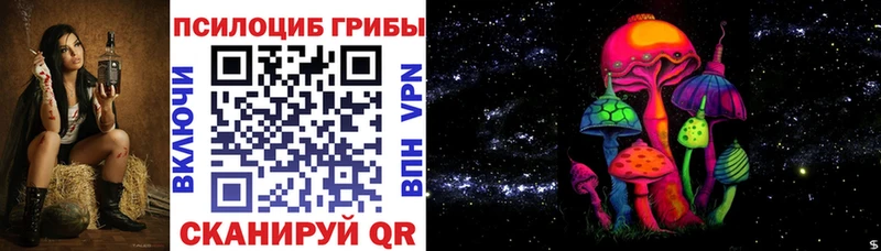 закладки Балтийск Псилоцибиновые грибы Magic Shrooms